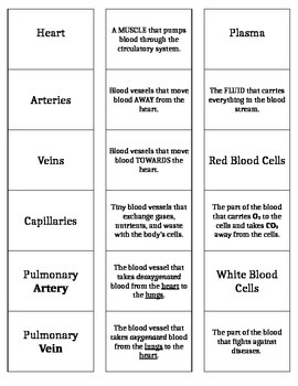 Circulatory System Vocabulary Matching Game by Diana Harris | TpT