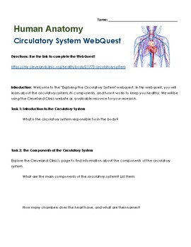 Preview of Circulatory System WebQuest with Answer Key