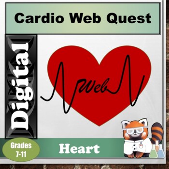 Preview of Circulatory System Webquest