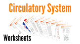 Circulatory System Worksheets