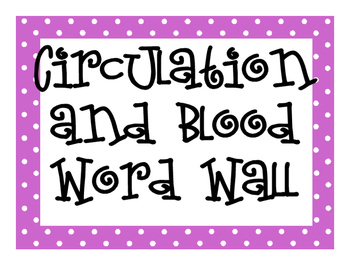 Preview of Circulatory System and Blood Word Wall