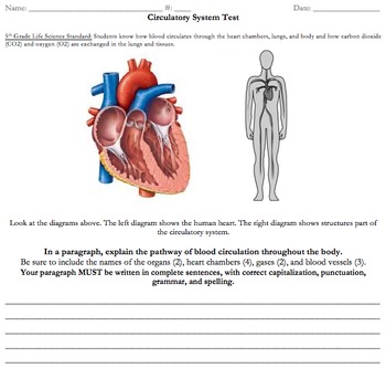 Preview of Circulatory System and Digestive System Assessment (Free Response)