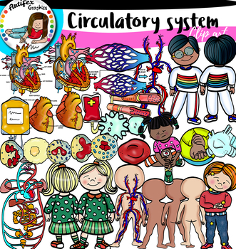 Preview of Circulatory System- big set!