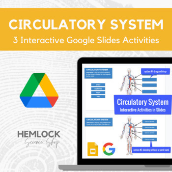 Preview of Circulatory System - drag-and-drop, labeling in activity in Google Slides