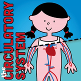Circulatory System fold and learn