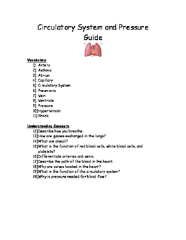 Preview of Circulatory and Blood Pressure Study Guide Worksheet