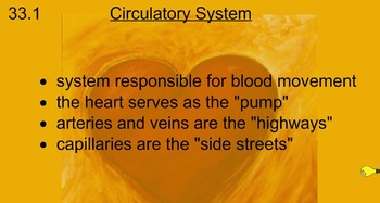 Preview of Circulatory and Reproductive