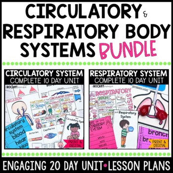Preview of Circulatory and Respiratory System Activities MONEY SAVING BUNDLE
