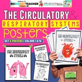 Circulatory and Respiratory Systems Poster and Colouring pages