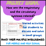 Circulatory and Respiratory system: How are they related?