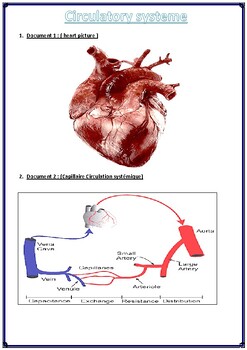 Preview of Circulatory system (Heart Anatomy )