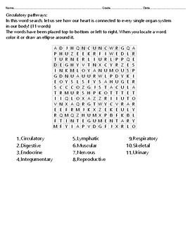 Circulatory System, Word search for High school by Swati Sharma | TpT