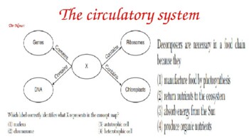 Preview of Circulatory system slides