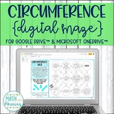 Circumference of a Circle DIGITAL Maze for Google Drive Di