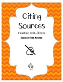 Citing Sources Practice Worksheets