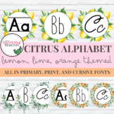 Citrus Classroom Alphabet Letters *9 Versions!*