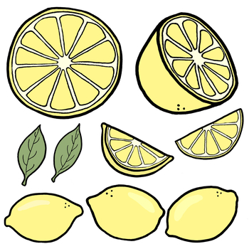 Citrus Fruit Clipart Bundle Oranges Lemons Limes And Grapefruit