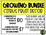 Citrus Fruit Decor. Bundle