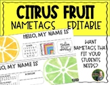 Citrus Fruit Editable Nametags