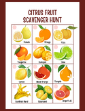 Citrus Fruits Scavenger Hunt | Fruit Activity for Kids | D