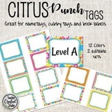 Editable Citrus Punch Name Tags | Cubby Labels