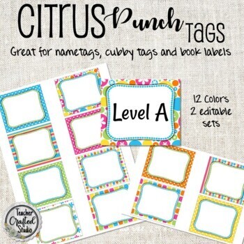 Preview of Editable Citrus Punch Name Tags | Cubby Labels