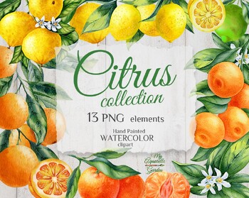 Preview of Citrus fruits: lemons, oranges, tangerines, limes, bergamot