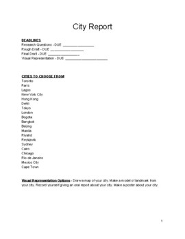 Preview of City Report Project