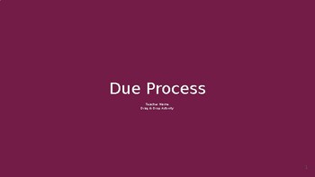 Preview of Civics- Due Process Drag & Drop Activity
