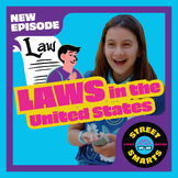 Civics: Laws in the United States - Lesson Plan, Worksheet, Video