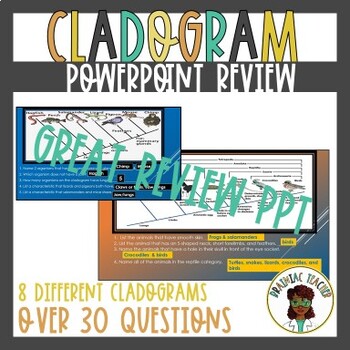 Preview of Cladogram