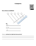 Cladogram Guided Notes with Youtube Video & Slides
