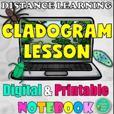 Classification of Living Things Cladogram Guided Reading Lesson