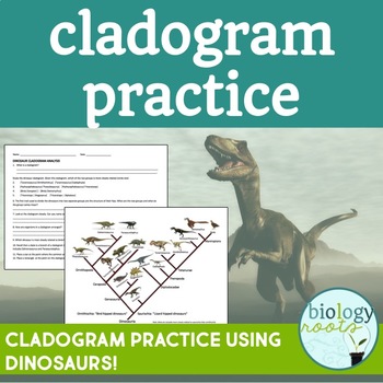 Preview of Cladogram Practice