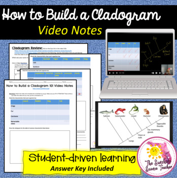 Preview of Cladogram Video Notes | NO PREP!