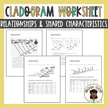 Cladogram Worksheets by Brainiac Teacher | Teachers Pay Teachers