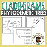 Cladogram and Phylogenetic Trees