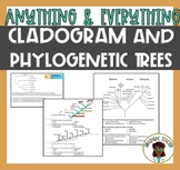 Cladogram and Phylogenetic Trees