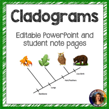 Preview of Cladogram powerpoint