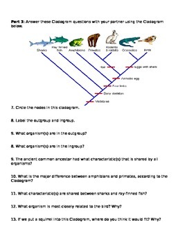 Cladograms Worksheet and Practice by Brianna Jenkins  TpT