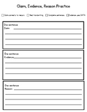 Claim, Evidence, Reason (CER) Practice Sheet