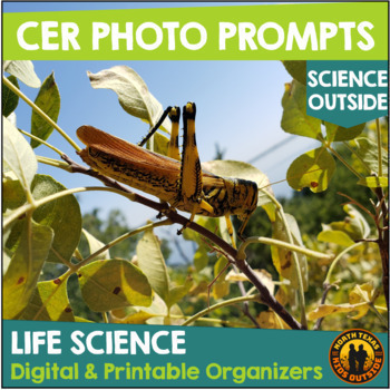 Preview of Claim Evidence Reasoning CER Photo Phenomena Prompts Life Science Ecosystems