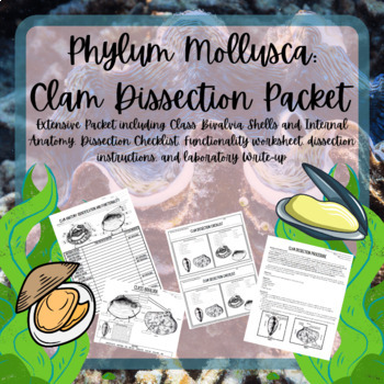 Preview of Clam Dissection Packet