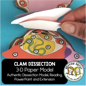 Preview of Clam Paper Dissection - Scienstructable 3D Dissection Model