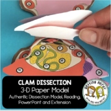 Clam Paper Dissection - Scienstructable 3D Dissection Mode
