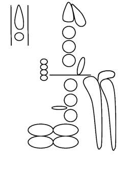 Preview of Clarinet Fingering Chart- Label & Identify