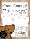 Class, Class What Do You See? Class Book