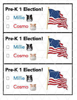 Preview of Class Election - Ballots