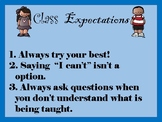 Class Expectations FREEBIE