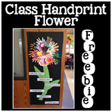 Class Handprint Flower for Display